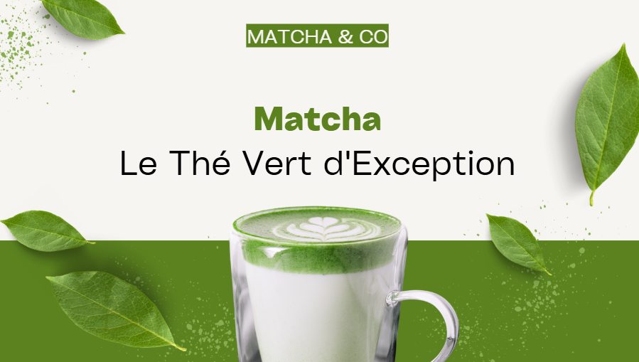 Matcha&co project